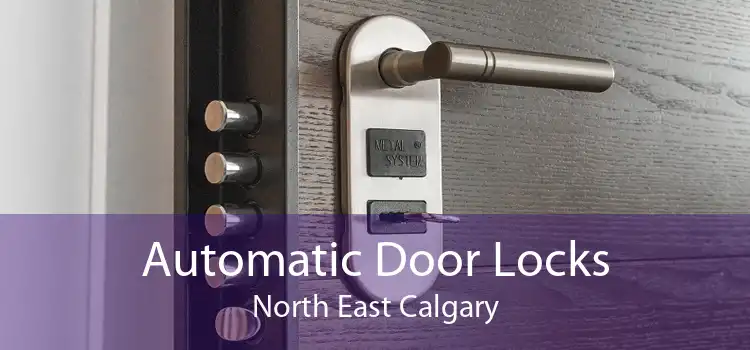 Automatic Door Locks North East Calgary