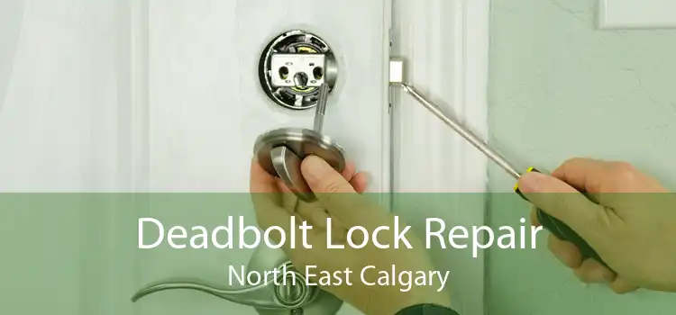 Deadbolt Lock Repair North East Calgary