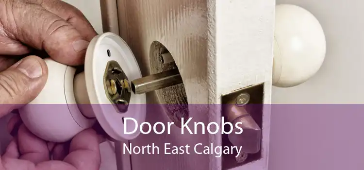 Door Knobs North East Calgary