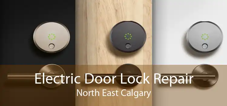 Electric Door Lock Repair North East Calgary