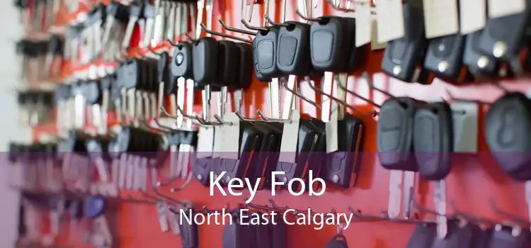 Key Fob North East Calgary