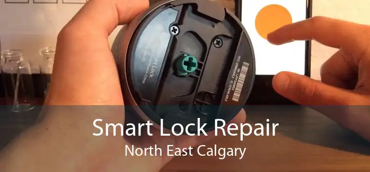 Smart Lock Repair North East Calgary